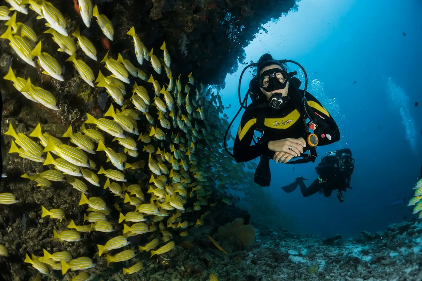 Bautismo de buceo en Maafushi