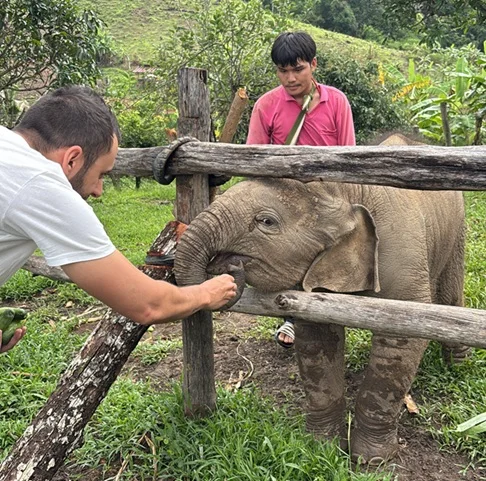 Elefantes en santuario