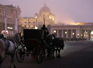 Imagen de Guía completa de Viena