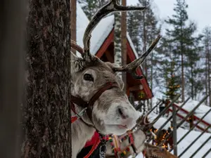 Imagen de Rovaniemi: guía al detalle